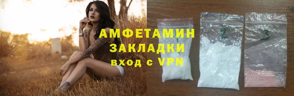 индика Грязовец