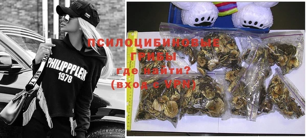 эйфоретик Новокубанск