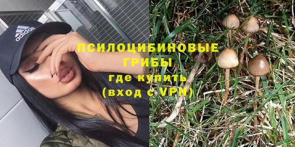 эйфоретик Новокубанск