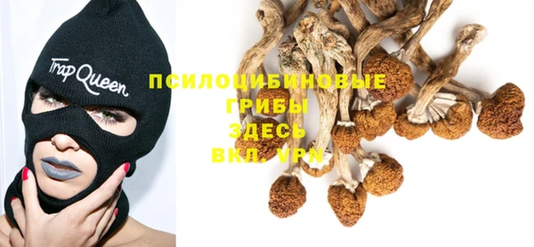 эйфоретик Новокубанск