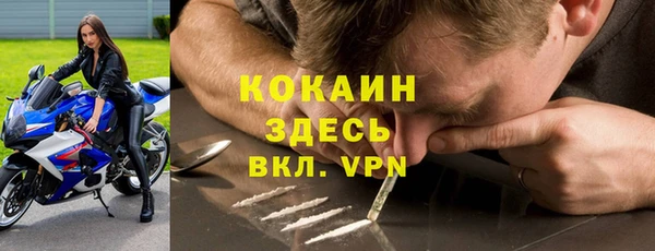 эйфоретик Новокубанск